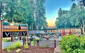 Mount Shasta Inn And Suites